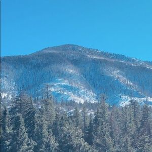 Meet your Posher, Kristy